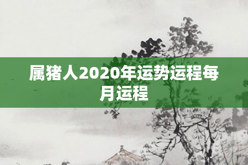 属猪人2020年运势运程每月运程
