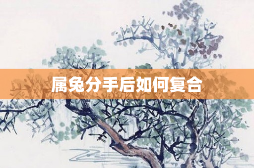 属兔分手后如何复合