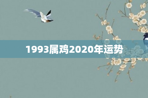1993属鸡2020年运势