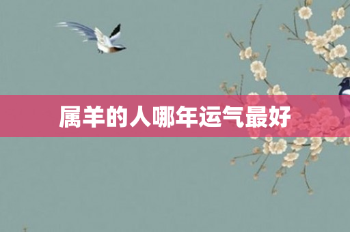 属羊的人哪年运气更好