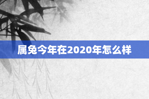 属兔今年在2020年怎么样