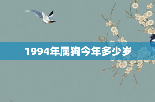 1994年属狗今年多少岁