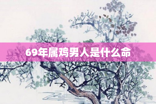 69年属鸡男人是什么命