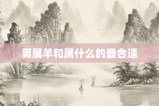 男属羊和属什么的最合适