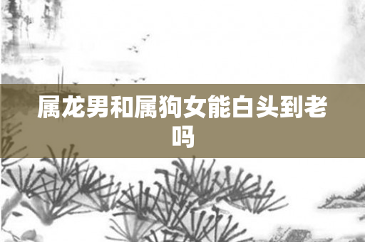 属龙男和属狗女能白头到老吗