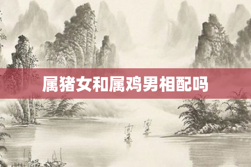 属猪女和属鸡男相配吗