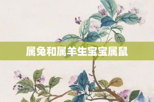 属兔和属羊生宝宝属鼠