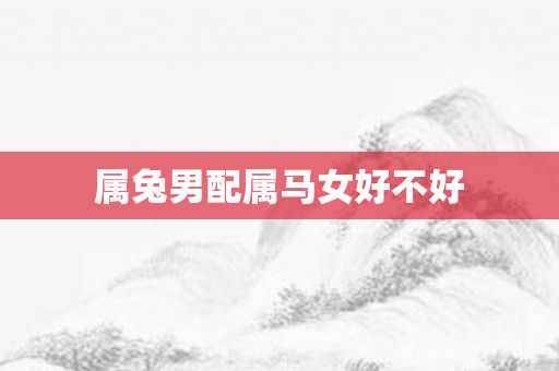 属兔男配属马女好不好