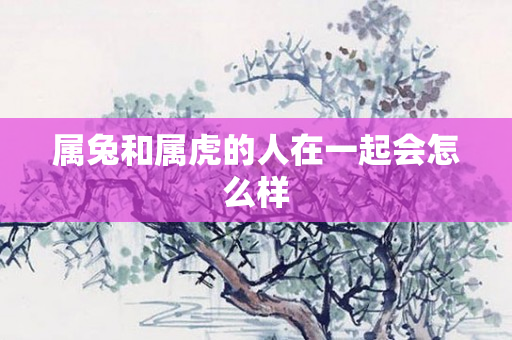 属兔和属虎的人在一起会怎么样