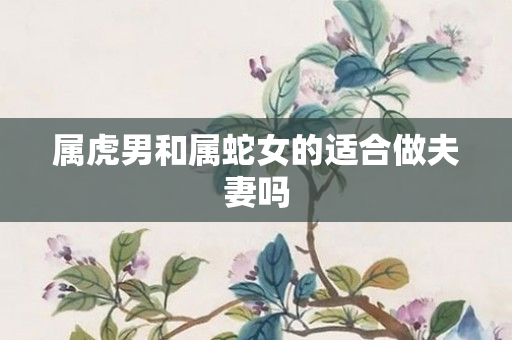 属虎男和属蛇女的适合做夫妻吗