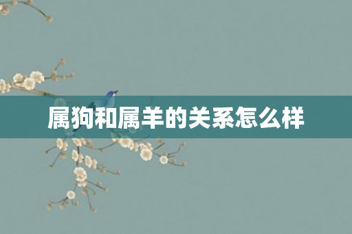 属狗和属羊的关系怎么样