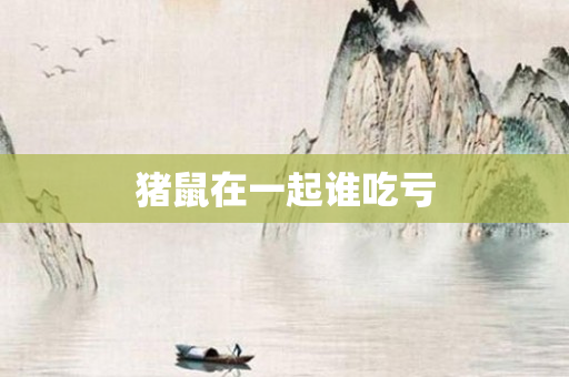 猪鼠在一起谁吃亏
