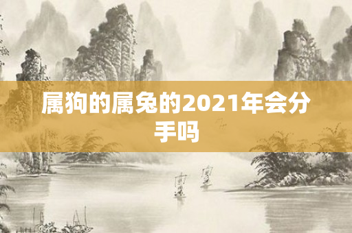 属狗的属兔的2021年会分手吗