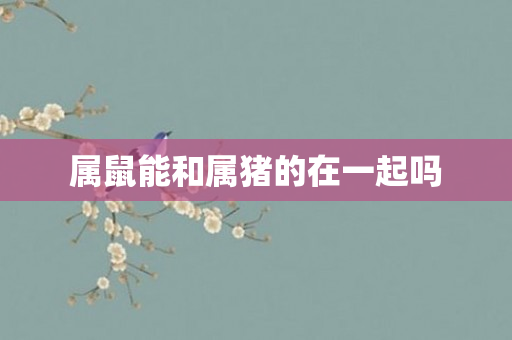 属鼠能和属猪的在一起吗