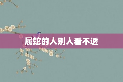 属蛇的人别人看不透