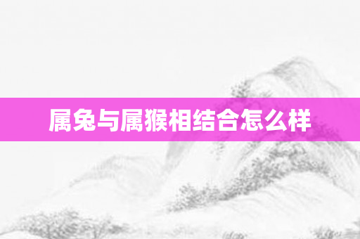 属兔与属猴相结合怎么样