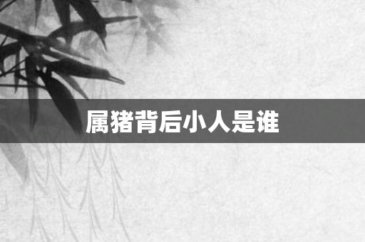 属猪背后小人是谁