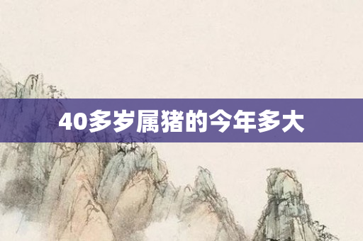 40多岁属猪的今年多大