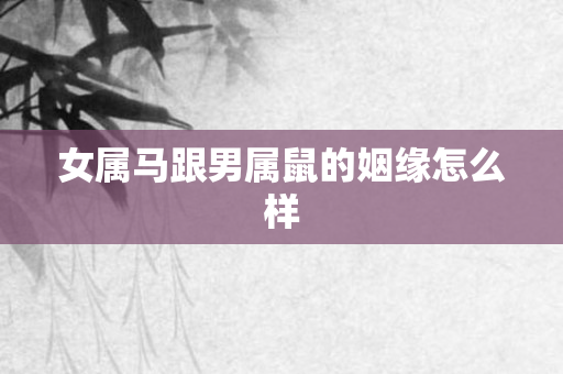 女属马跟男属鼠的姻缘怎么样