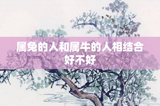 属兔的人和属牛的人相结合好不好