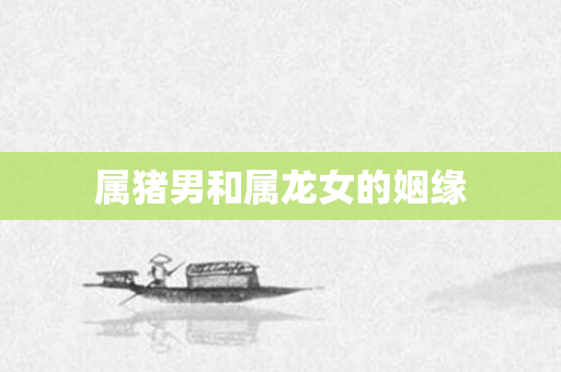 属猪男和属龙女的姻缘