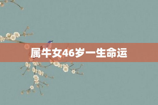 属牛女46岁一生命运