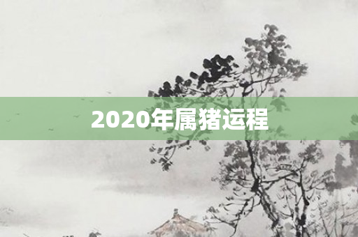 2020年属猪运程