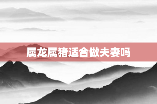 属龙属猪适合做夫妻吗