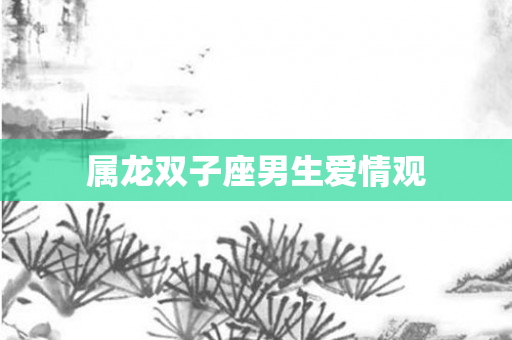 属龙双子座男生爱情观