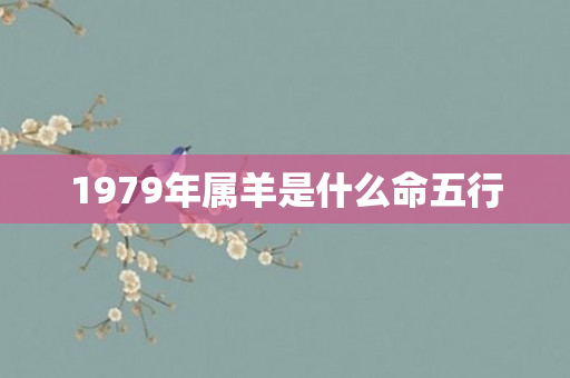 1979年属羊是什么命五行