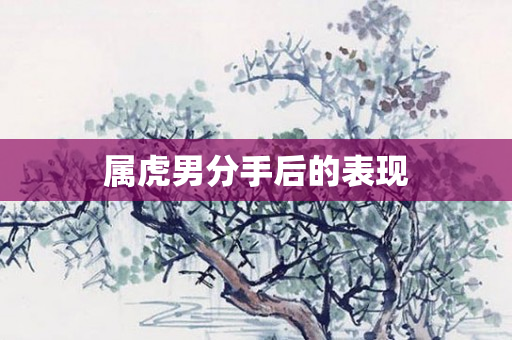 属虎男分手后的表现