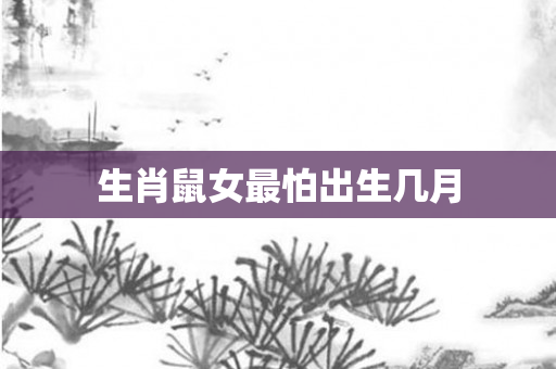生肖鼠女最怕出生几月