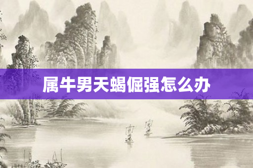 属牛男天蝎倔强怎么办