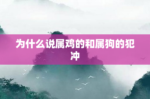 为什么说属鸡的和属狗的犯冲