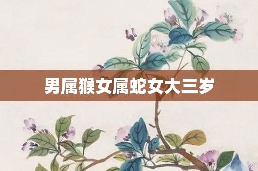 男属猴女属蛇女大三岁