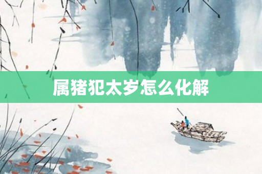 属猪犯太岁怎么化解