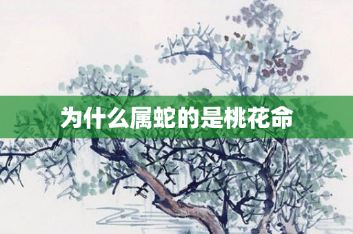 为什么属蛇的是桃花命