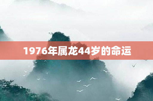 1976年属龙44岁的命运