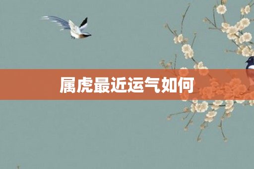 属虎最近运气如何