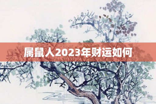 属鼠人2023年财运如何