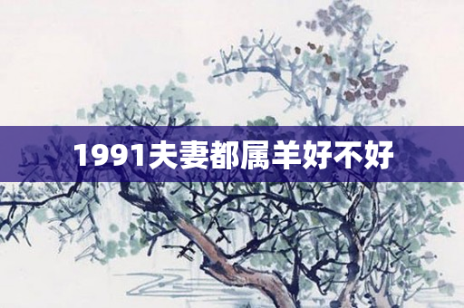 1991夫妻都属羊好不好