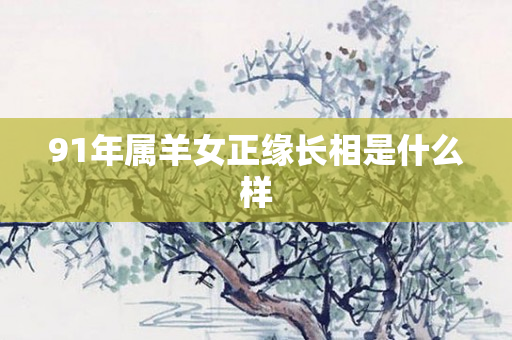 91年属羊女正缘长相是什么样