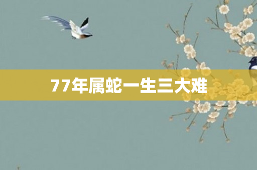 77年属蛇一生三大难