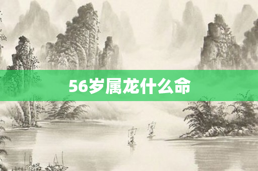 56岁属龙什么命