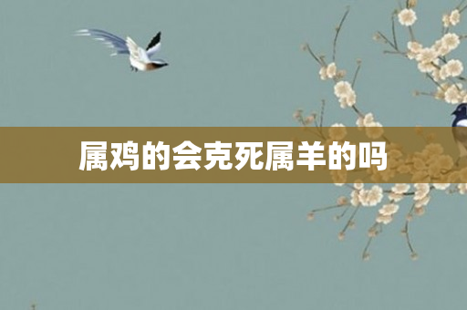 属鸡的会克死属羊的吗