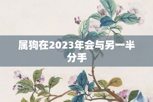 属狗在2023年会与另一半分手