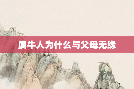 属牛人为什么与父母无缘