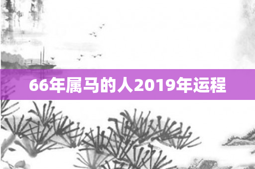 66年属马的人2019年运程