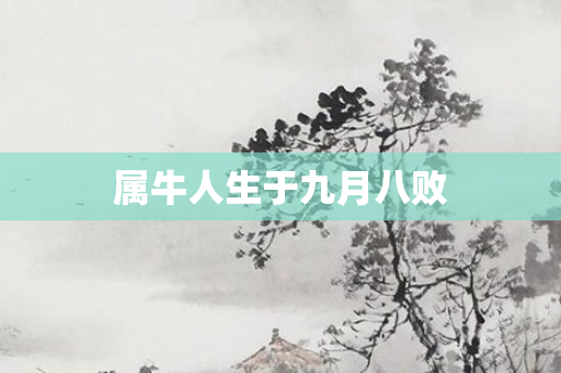 属牛人生于九月八败