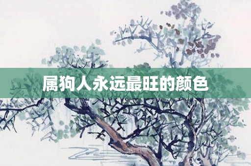 属狗人永远最旺的颜色